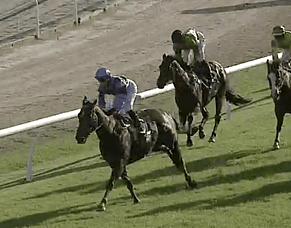 Gaylord Produces Another Brave Runner-Up Finish at Grafton