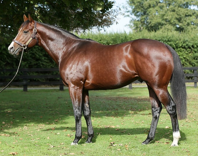 Vanbrugh. Photo: Supplied