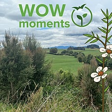 Wow moments!