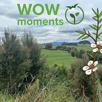 Wow moments!