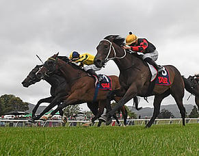 Provence sold for A$1.8 million