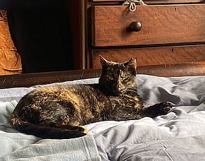 Juniper&rsquo;s new home: &ldquo;Hidey&rdquo; Heidi no more