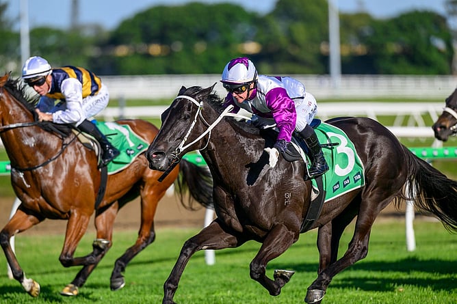 Nightline secured her first black-type win in Saturday’s A$160,000 Listed Moët & Chandon Gold Coast Bracelet (1800m). - Photo: Michael McInally/Racing Queensland