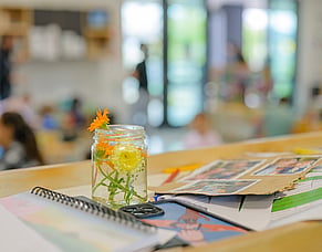 The six most common Due Diligence mistakes Childcare buyers make in the ECE Sector