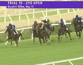 Dubious Express Wins Rosehill Trial in Dominant Fashion