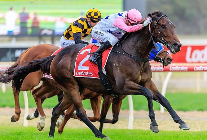 Six-year-old gelding Von Hauke landed the Listed Golden Mile (1600m) at Bendigo. - Photo: Grant Courtney
