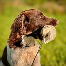 What Was Your Dog Made For?