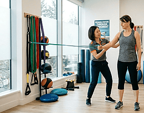 Exercise Physiology and Physiotherapy for Chronic Pain Management