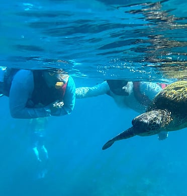 Swimming with turtles in Hawaii!
