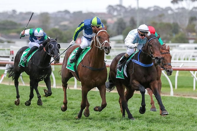 Any Luck (Inside) holds off race favourite Alder to win the Warrnambool Cup. - Photo: Bruno Cannatelli