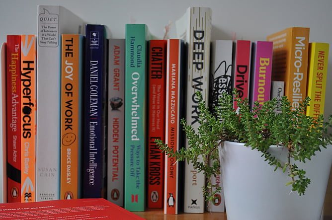 Books lined up in a shelf with a indoor plant pot to the right