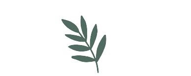 ECE coaching programme icon