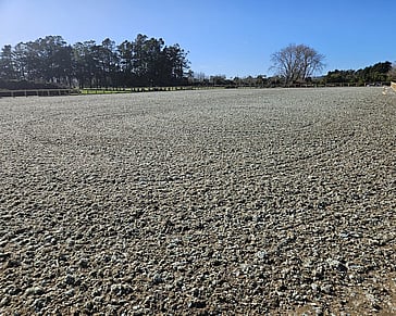 Ebb & Flow Arena Clevedon built by Harrison Lane