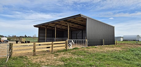 3 bay shed