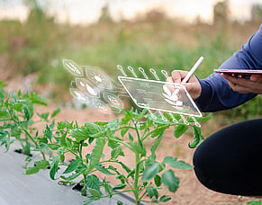 UK Agritech Innovators Heading to New Zealand to Road-Test the Future of Farming
