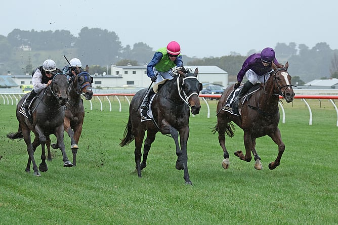 Riverplate (centre) will contest Saturday&rsquo;s Listed James Bull Rangitikei Gold Cup (1600m) at Otaki. - Photo: Jane Davidson (Race Images)