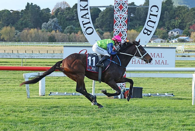 Riverplate proved to be too tough for his rivals when taking out the Listed James Bull Rangitikei Gold Cup (1600m) at Otaki on Saturday. - Photo: Jane Davidson (Race Images)