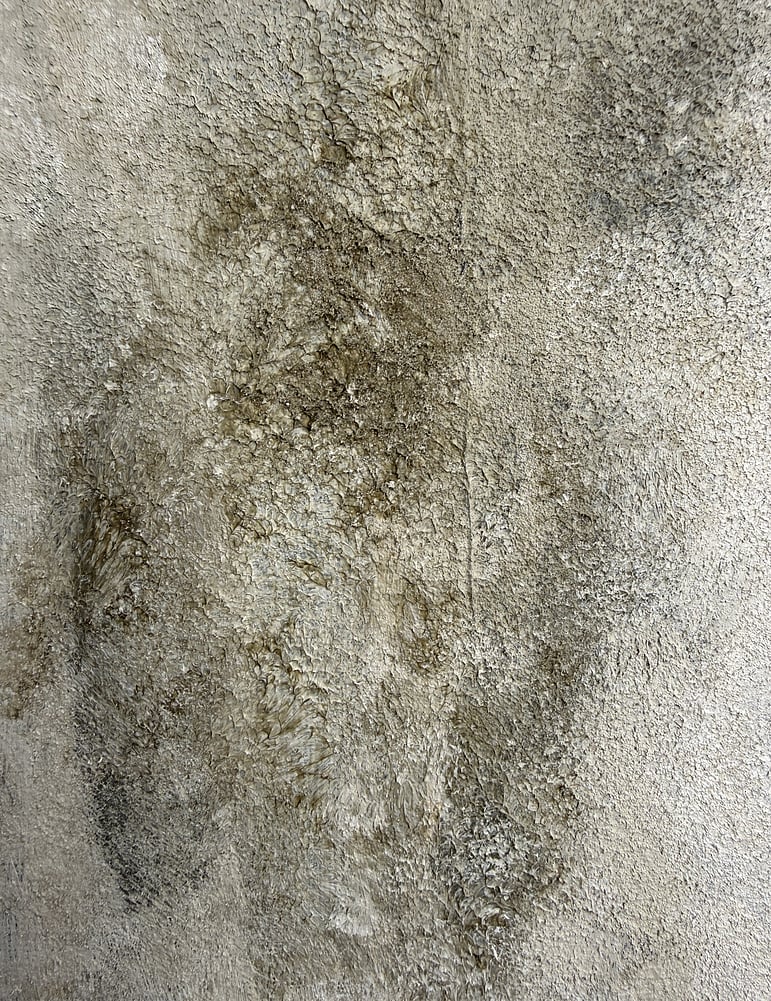 detail image showing layered tactile surface with exposed charcoal underlayers, pumice and silica sand texture with mottled pale cream, muted green and charcoal tonal movement