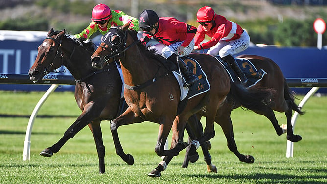 Incandescent winning the Listed Cloudsoft Accounting Champagne Stakes (1600m). - Photo: Kenton Wright (Race Images)