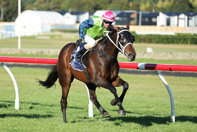Riverplate proved to be too tough for his rivals when taking out the Listed James Bull Rangitikei Gold Cup (1600m) at Otaki on Saturday. -  Photo: Peter Rubery (Race Images)
