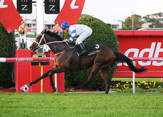 Kilman wins a fourth straight Gr.3 Rough Habit Plate 92000m) for trainer Chris Waller. - Photo: Grant Peters (Trackside Photography)