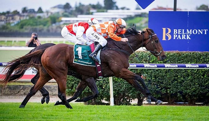 Kiwi-bred veteran Western Empire took his career earnings past A$3.5 million in Perth on Saturday. - Photo: Western Racepix