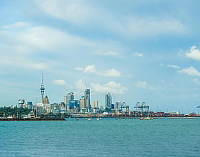 Ports of Auckland Case - What it means for Contractors