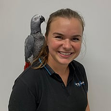 Vet Technologist Abby 