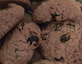 Best ever Oat and Raisin Cookies!