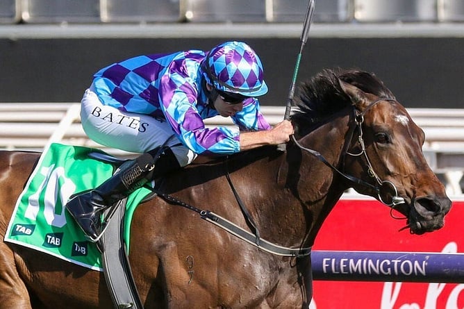 Trelawney Stud bred mare Pride Of Jenni will face a small field in the Gr.1 Doomben Cup on Saturday.  - Photo: Bruno Cannatelli