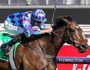 Advantage Jenni in Saturday's Doomben Cup