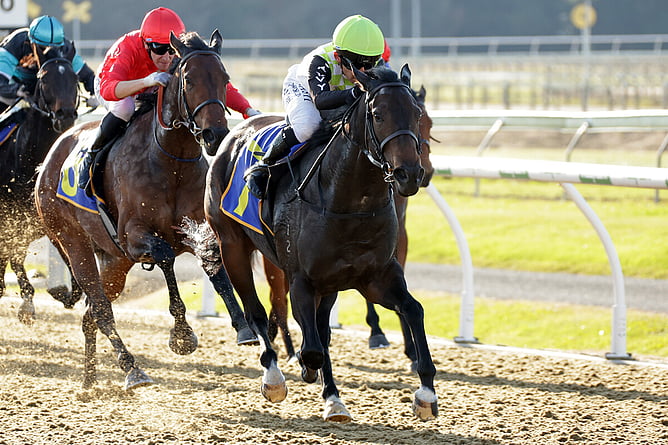 Angels Brew broke her maiden in style at Cambridge on Wednesday. - Photo: Kenton Wright (Race Images)