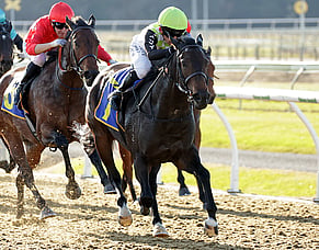 Angels Brew stylish in maiden victory