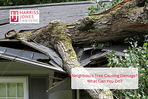 When a Neighbour&rsquo;s Tree Damages Your Home: What the Wong v Chan Decision Means for You