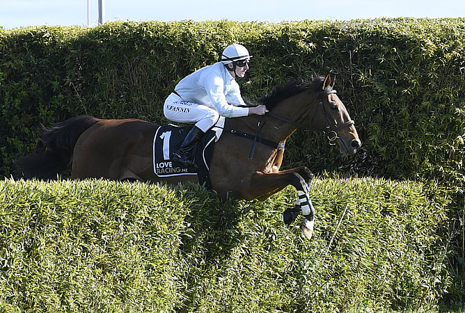 West Coast will contest Sunday&rsquo;s Waikato Hunt Cup (3900m) at Te Rapa. - Photo: Kenton Wright (Race Images)