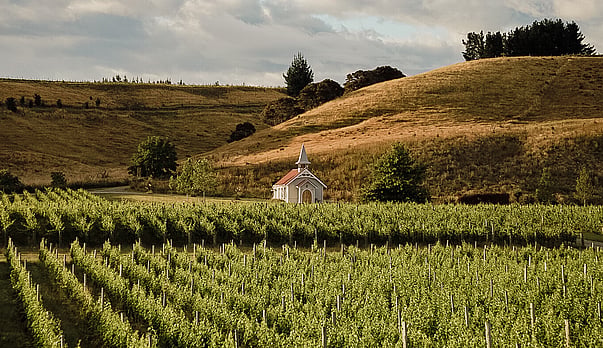 From France to New Zealand - the inspiring family behind Clos Henri