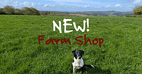 New Farm Shop at Redwoods Farm!
