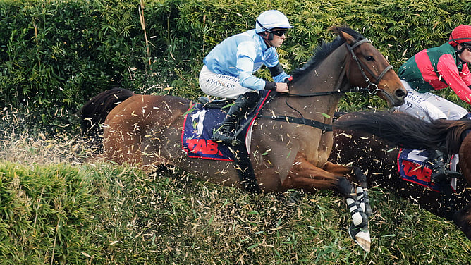 West Coast on his way to winning the Waikato Hunt Cup (3900m) at Te Rapa on Sunday - Photo: Kenton Wright (Race Images)