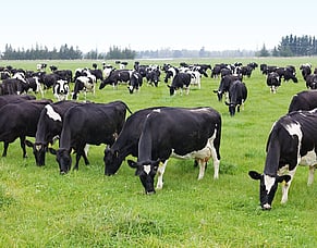 Fertiliser and your new farm