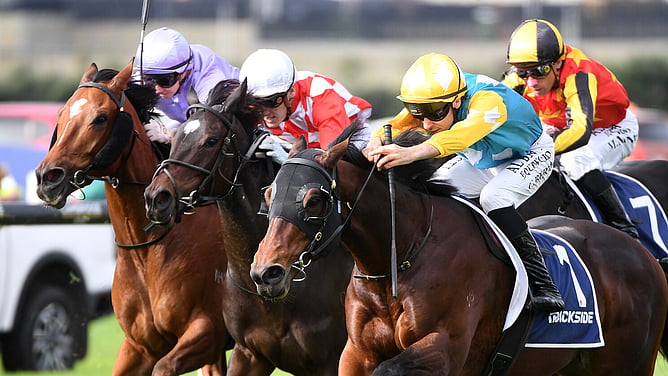 Bulgari (outside) winning at Ellerslie. - Photo: Kenton Wright (Race Images)