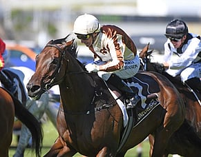 Yulong secures Legarto for $2.8 million