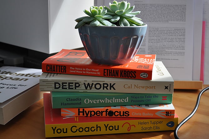 A pile of paperback books on work topics with a ceramic bowl of succulent plants sitting on top