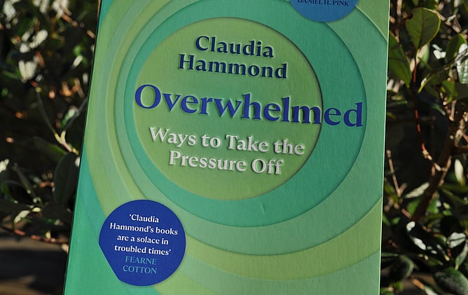 Overwhelmed, a book by Claudia Hammond