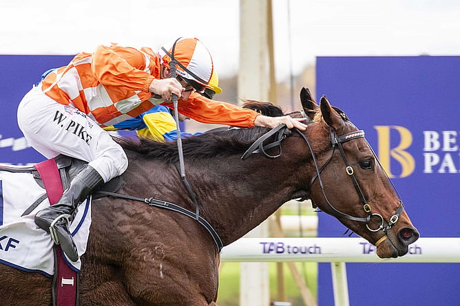 Western Empire (NZ) digs deep to secure Gr.3 honours in the Hyperion Stakes (1600m) at Belmont. - Photo: Western Race Pix