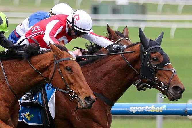 The Western Front (centre) got his nose down on the line to win a thrilling Listed Sandown Cup on Sunday. - Photo: Bruno Cannatelli