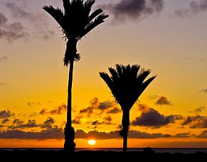 Why the West Coast Deserves More Than One Night