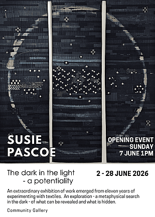 The dark in the light by Susie Pascoe