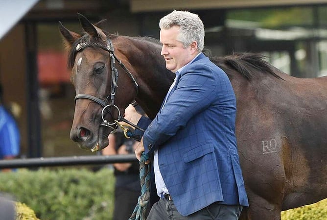 Trainer Fraser Auret pictured with Group Two winner Khanshe - Photo: (Race Images PN) Peter Rubery
