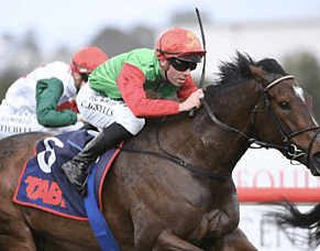 Smart mare Astoria Brooke progressing well toward stakes goal
