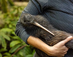 The best kept secret in the Waikato and 3,000+ kiwi